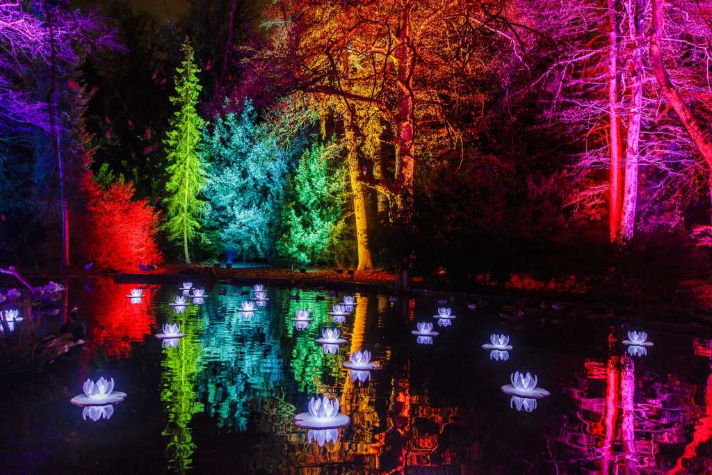 Ein Teich mit leuchtenden, schwimmenden Lotusblüten. Um den Teich stehen Bäume, die nachts in kräftigen Farben wie Rot, Blau, Grün und Orange beleuchtet sind. A pond with glowing, floating lotus flowers. Around the pond are trees that are illuminated at night in bright colors such as red, blue, green and orange.