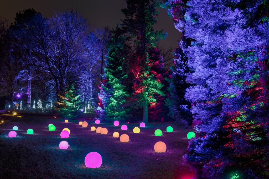 Bäume sind mit bunten Lichtern beleuchtet. Leuchtende Kugeln liegen auf dem Rasen. Die Szene findet nachts draußen statt. Trees are illuminated with colorful lights. Glowing balls lie on the lawn. The scene takes place outside at night.