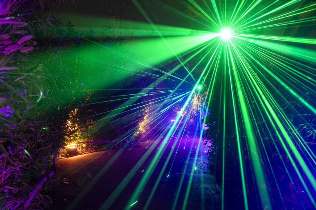 Grüne und violette Laserlichter leuchten bei Nacht durch Bäume und Pflanzen entlang eines Weges. Helle Lichtstrahlen und farbige Lichteffekte sind sichtbar.