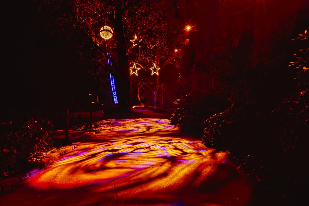 A nocturnal path is illuminated with colorful, swirling lights. Along the path, there are glowing stars and other light objects between the trees.