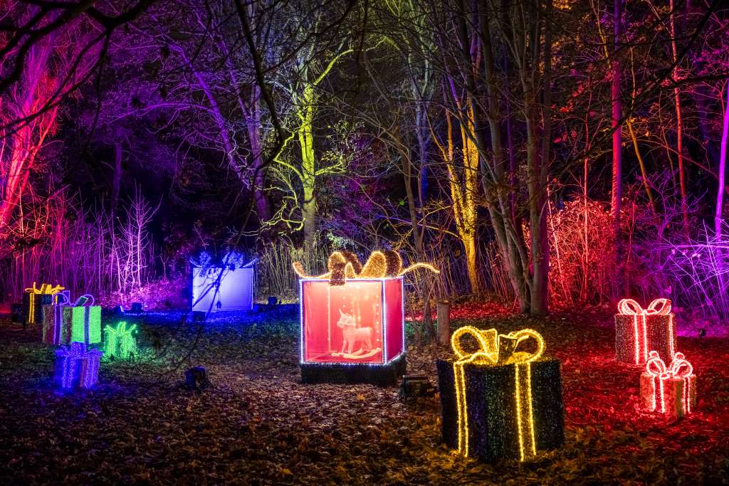 Leuchtende Geschenkboxen und eine beleuchtete Rentierfigur stehen nachts in einem bewaldeten Gebiet. Bunte Lichter umgeben die Szenerie.