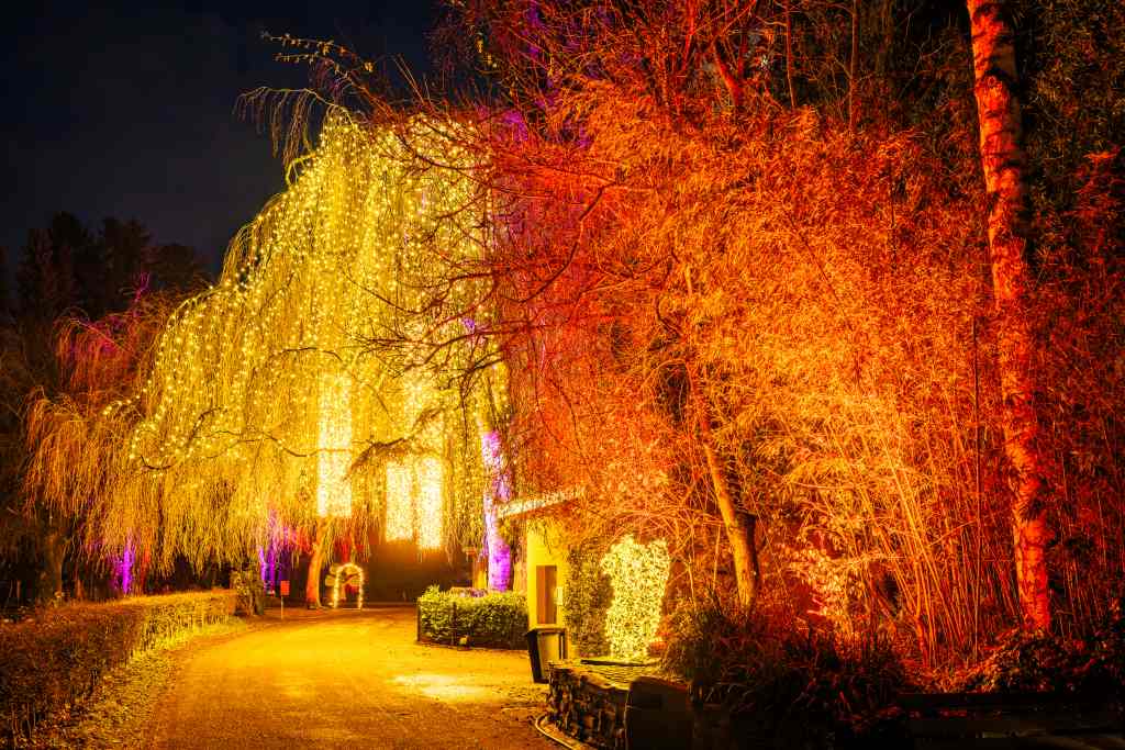 Ein nächtlicher Weg ist von Bäumen mit gelb-orangen Lichtern gesäumt. Einige beleuchtete Äste sind kahl.