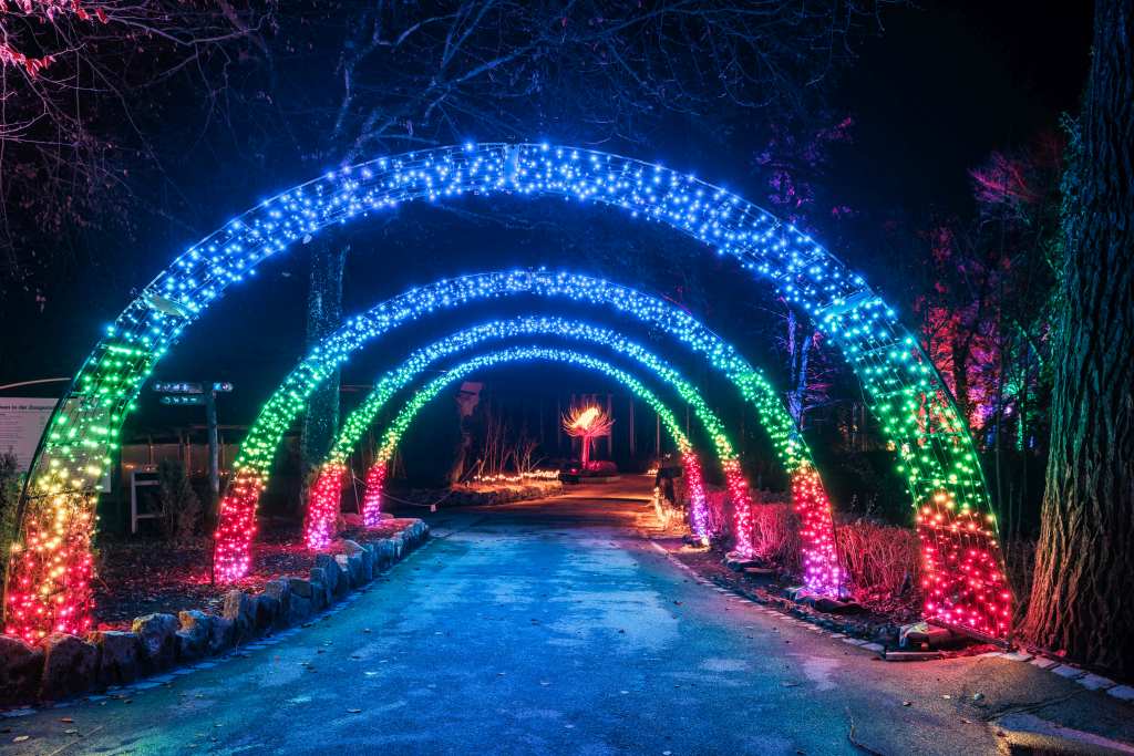 Drei beleuchtete Bögen stehen auf einem nächtlichen Weg. Im Hintergrund sind Bäume und weitere Lichter zu sehen.