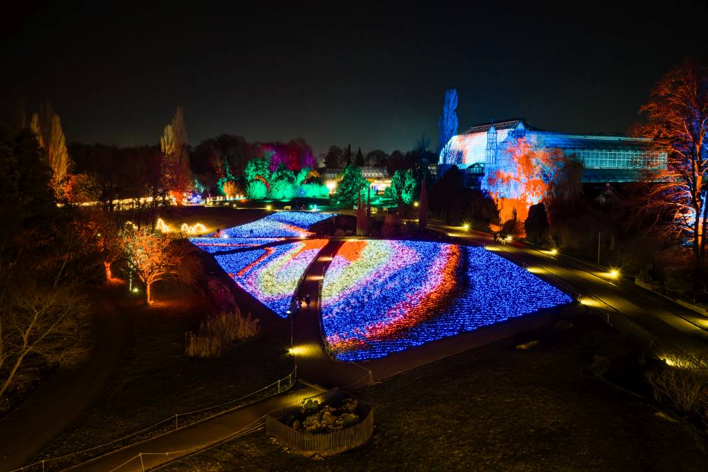 Ein Garten bei Nacht. Bunte Lichter liegen in Mustern auf dem Boden. Die Bäume sind in verschiedenen Farben beleuchtet.