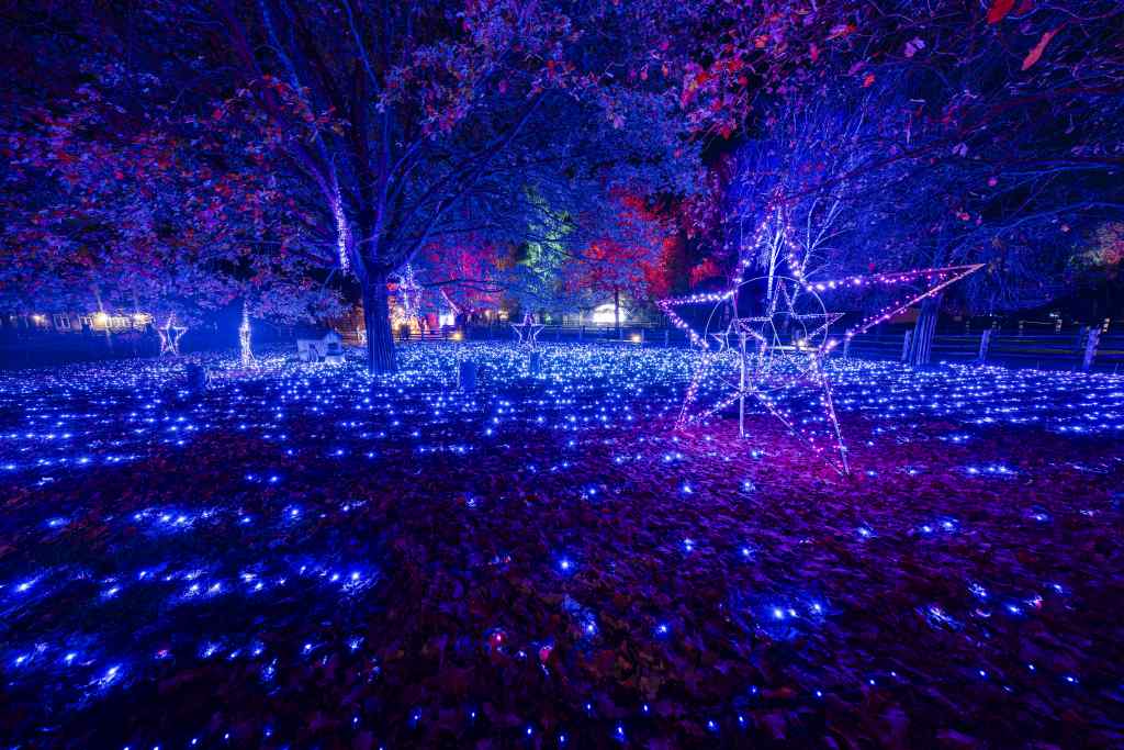 Ein Feld und Bäume sind nachts mit blauem und violettem Licht beleuchtet. Beleuchtete Hirsch- und Sternfiguren sind zu sehen.
