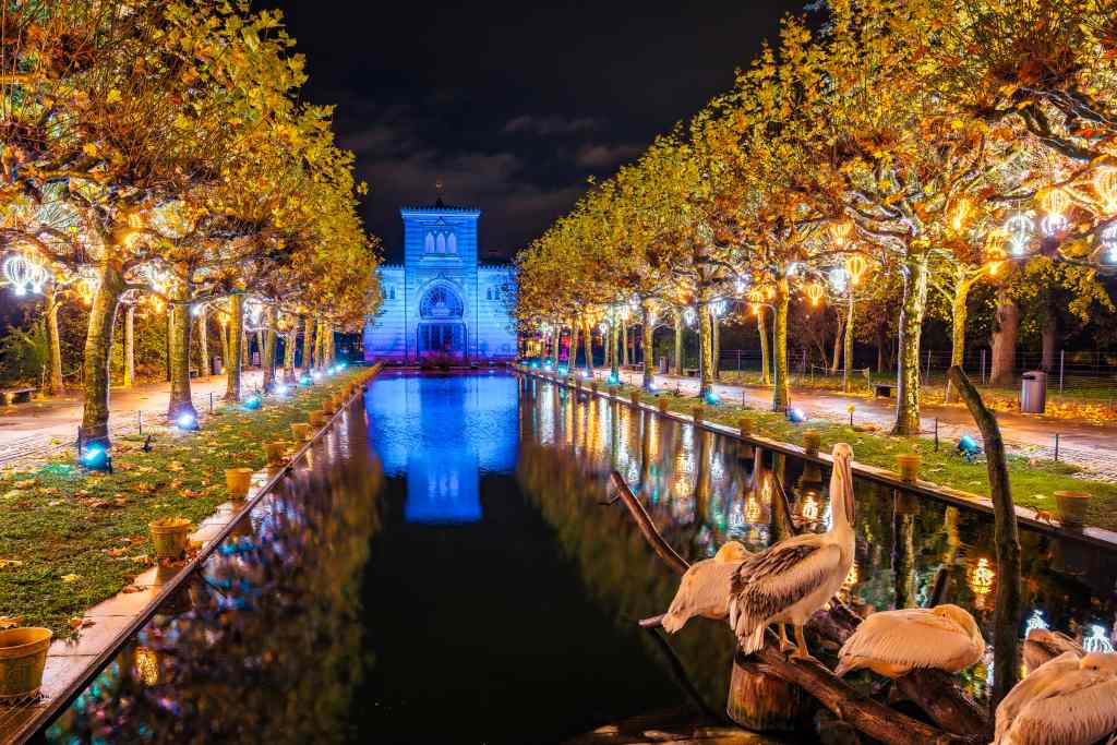 Ein Wasserkanal mit Bäumen und Lichtern bei Nacht. Rechts sind Pelikane, am Ende ein beleuchtetes Gebäude.