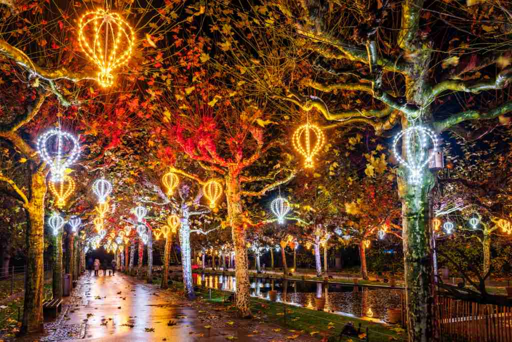 Ein nächtlicher Weg ist von Bäumen gesäumt. Gelbe und weiße Lichter hängen, ihr Schein spiegelt sich auf dem nassen Boden.