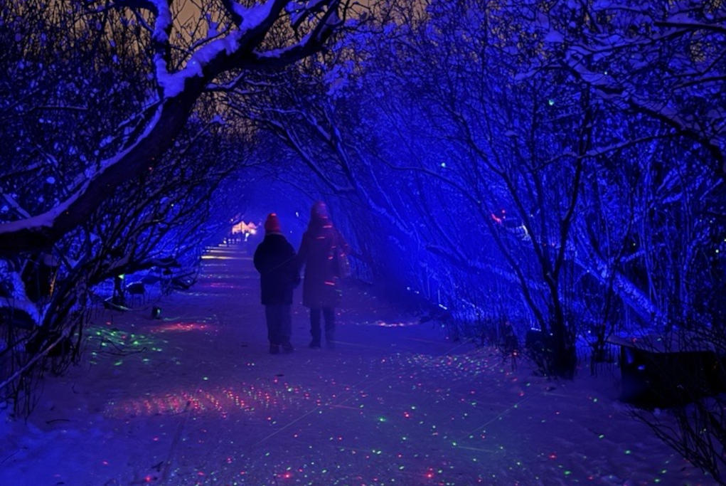 Two people are walking along a snow-covered path at night. Trees line the path. Blue lights and colorful dots illuminate the scene.