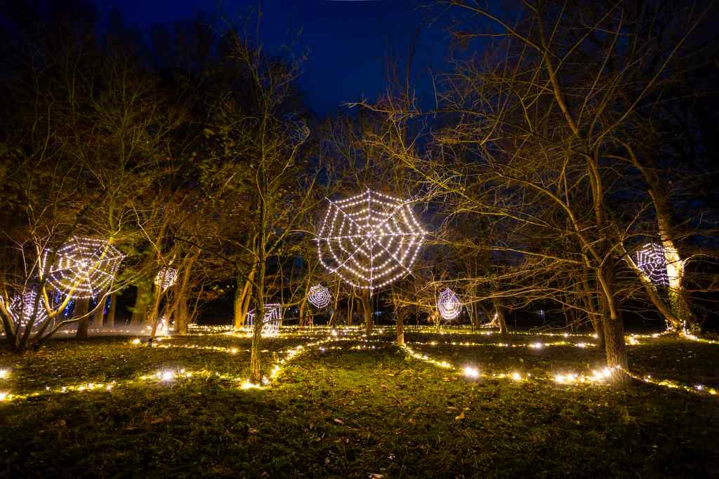 Bäume mit Lichtern in Form eines Spinnennetzes und Lichterketten auf dem Boden bei Nacht.
