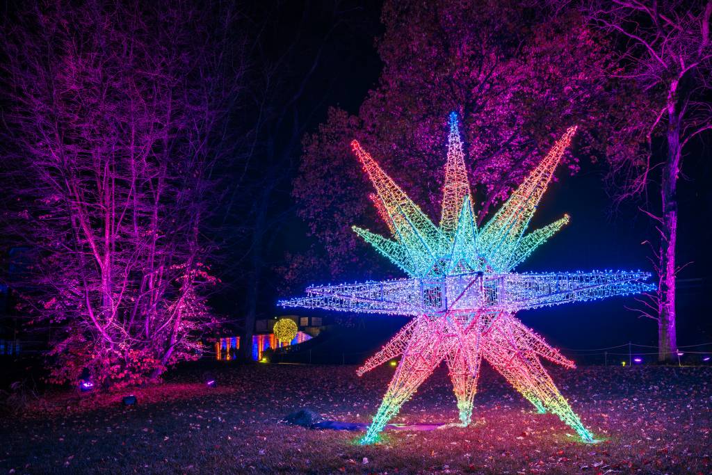 Ein großer, bunter achtzackiger Stern leuchtet nachts im Freien. Umgeben von Bäumen mit lila und pinker Beleuchtung.