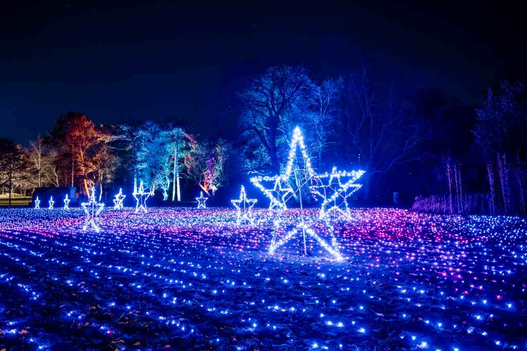 A field with blue and white star-shaped lights at night. In the background, trees are illuminated in colorful lights.